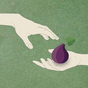 Подарочный сертификат